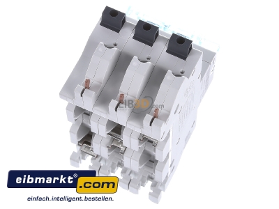 Top rear view Hager HTS363E Selective mains circuit breaker 3-p 63A
