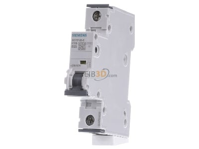 Front view Siemens 5SY6125-6 Miniature circuit breaker 1-p B25A 
