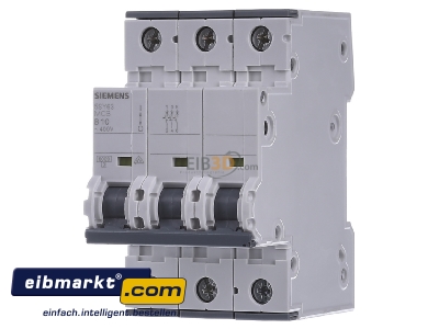 Front view Siemens Indus.Sector 5SY6310-6 Miniature circuit breaker 3-p B10A

