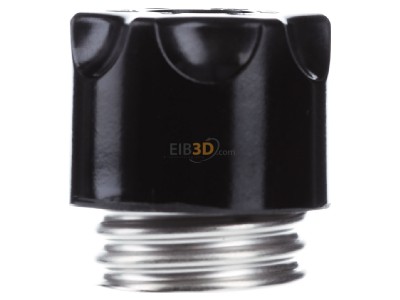 View on the right Siemens 5SH1231 D-system screw cap DIII 
