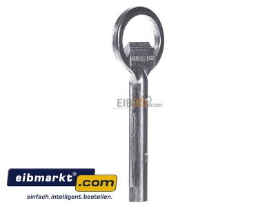 View on the right Striebel&John 2CPX060660R9999 Double bit key for enclosure
