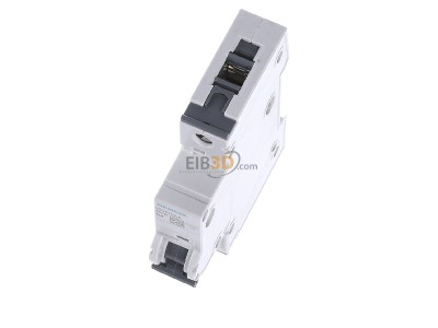 View up front Siemens 5SY6104-6 Miniature circuit breaker 1-p B4A 

