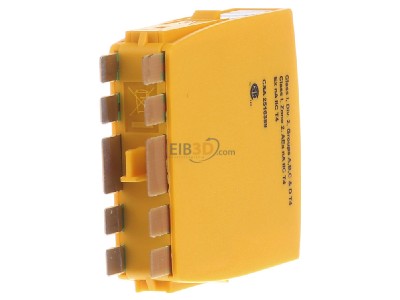 Back view Dehn BXT ML4 BD 24 Combined arrester for signal systems 

