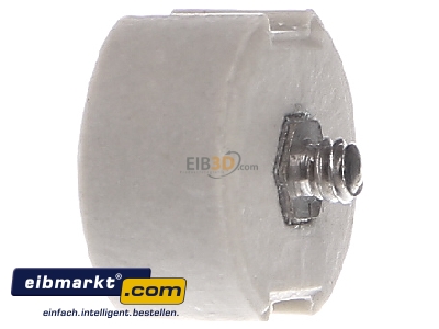 View on the right Mersen L222167 Diazed screw adapter DII 6A
