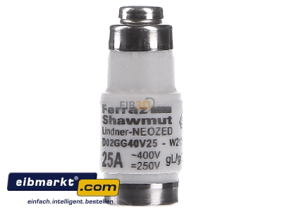 Front view Mersen W213160 Neozed fuse link D02 25A
