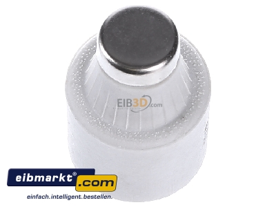 Top rear view Mersen DIIIGG50V32 Diazed fuse link DIII 32A
