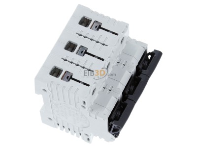 View top left Wöhner 31314 Neozed switch disconnector 3xD02 63A 31 314
