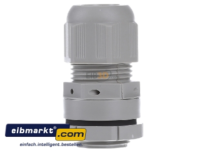 View on the left Hensel KBM 20 Cable screw gland M20
