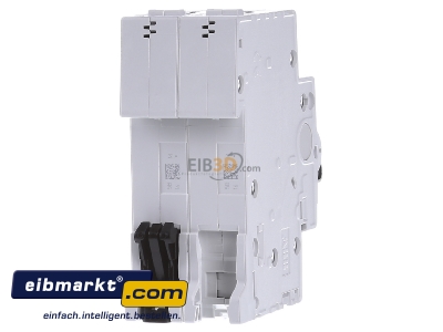 Back view ABB Stotz S&J 2CDS252001R0165 Miniature circuit breaker 2-p B16A
