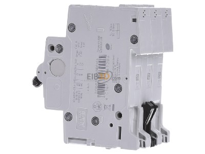 View on the right ABB S203-B16 Automatic circuit breaker B 16A, 3-pole, 
