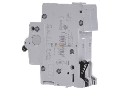 View on the right ABB S202-C16 Miniature circuit breaker 2-p C16A 
