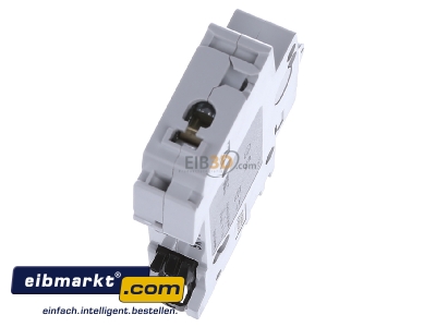 Top rear view ABB Stotz S&J S 201-K 16 Miniature circuit breaker 1-p K16A
