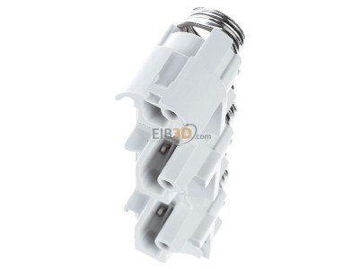 Ansicht oben hinten Whner 31441 D-Reiter-Sich.sockel 31 441