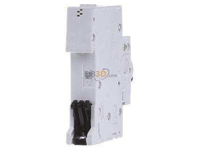 Ansicht hinten ABB S201-C50 Sicherungsautomat 6kA 50A C 1p 