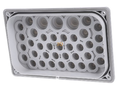 Ansicht hinten Rittal SV 9665.770 Kabeleinfhrungsflansch m. Dichtungsmembrane 