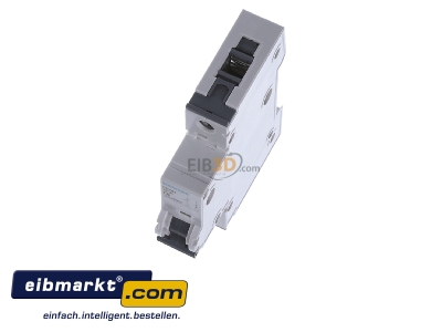 View up front Siemens Indus.Sector 5SY6106-7 Miniature circuit breaker 1-p C6A - 
