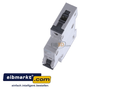 Ansicht oben vorne Siemens Indus.Sector 5SY6106-7 LS-Schalter C6A,1pol,T=70,6kA 