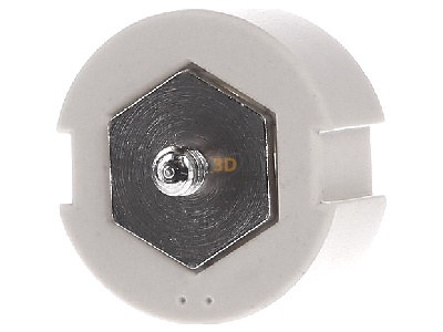 Back view Siemens 5SH318 Diazed screw adapter DIII 50A 
