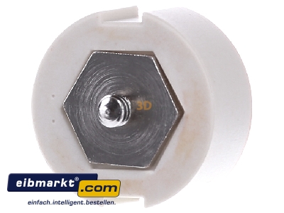 Back view Siemens Indus.Sector 5SH320 Diazed screw adapter DIII 63A
