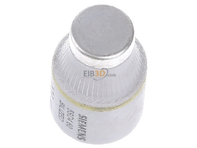 View top right Siemens 5SD460 Diazed fuse link DIII 50A 
