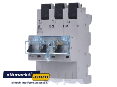 Front view Hager HTS325E Selective mains circuit breaker 3-p 25A
