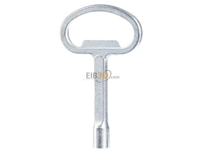 Front view Rittal SZ 2521.000 Double bit key for enclosure 
