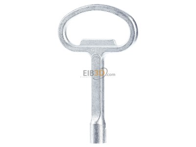 Back view Rittal SZ 2521.000 Double bit key for enclosure 
