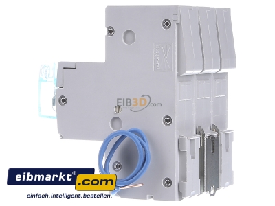 View on the right Hager HTN350E Selective mains circuit breaker 3-p 50A
