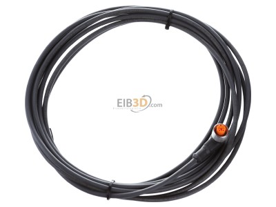 Ansicht oben links Belden RKWT 4-225/5m Kupplung m.Schraubver.,gew 4pol.,M12,5m Kab.PUR 