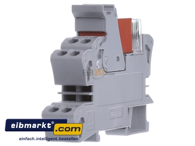 View on the right WAGO Kontakttechnik 788-312 Switching relay DC 24V - 
