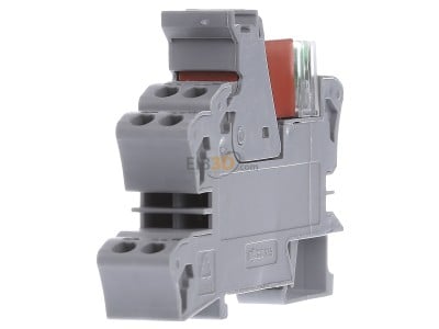 View on the right WAGO 788-516 Switching relay AC 230V 8A 
