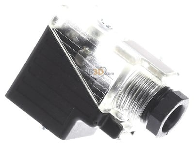 View on the right Murrelektronik 7000-29001-0000000 Valve connector (field assembly) 

