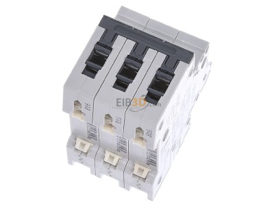 Ansicht oben hinten Siemens 5SY4316-6 LS-Schalter B16A,3pol,T=70,10kA 