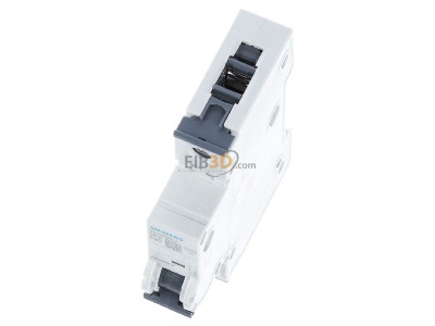 View up front Siemens 5SY4163-7 Miniature circuit breaker 1-p C63A 
