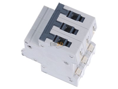 Ansicht oben rechts Siemens 5SY4350-7 LS-Schalter C50A,3pol,T=70,10kA 