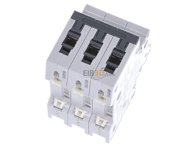 Ansicht oben hinten Siemens Indus.Sector 5SY4363-7 LS-Schalter C63A,3pol,T=70,10kA 