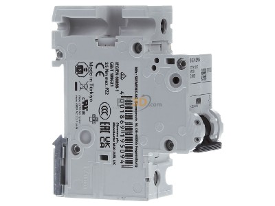View on the left Siemens 5SP4191-7 Miniature circuit breaker 1-p C100A 
