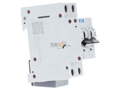 View on the left Eaton FAZ-B6/2 Miniature circuit breaker 2-p B6A 
