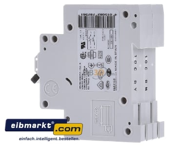 View on the right Eaton (Moeller) FAZ-C10/2 Miniature circuit breaker 2-p C10A - 
