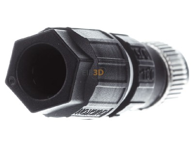 Back view Phoenix SACCM12FS-4QO-0,75-M Circular connector for field assembly 

