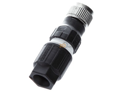 Top rear view Phoenix SACCM12FS-4QO-0,75-M Circular connector for field assembly 
