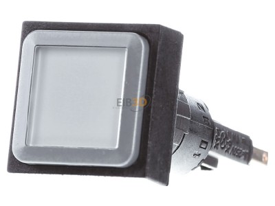 Frontansicht Eaton Q25LT-WS Leuchtdrucktaste Linse wei, tastend 