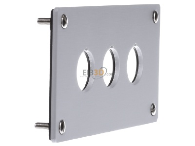 View on the left Eaton (Moeller) M22-E3 Mounting panel for control device 
