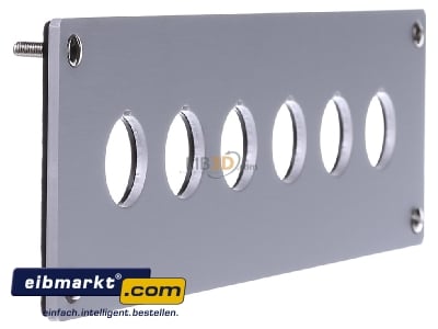 View on the left Eaton (Moeller) M22-E6 Mounting panel for control device 
