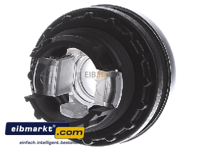 Ansicht hinten Eaton (Moeller) M22-DLH-W Leuchtdrucktaste hoch,weiss,blanko 