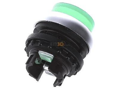 Top rear view Eaton M22-DLH-G-X1 Push button actuator green IP67 
