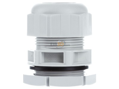 View on the right Eaton V-M32 Cable gland / core connector M32 
