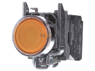 Frontansicht Schneider Electric XB4BW35B5 Leuchtdrucktaster ge-or LED-Modul,24V,1S,1 