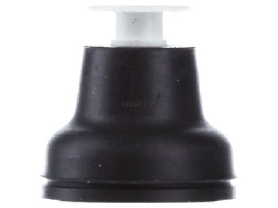 Frontansicht Schneider Electric XACB9211 Tasterkopf Neopr.ws 