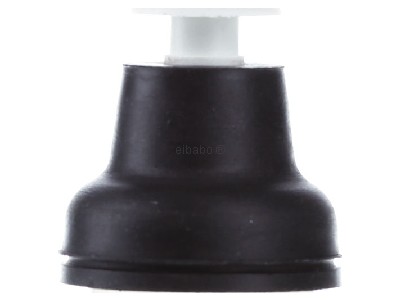 Ansicht hinten Schneider Electric XACB9211 Tasterkopf Neopr.ws 